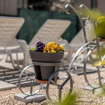 Διαμέρισμα Dalmatian 230m2 With Pool And Garden Near The Old Town For Families *