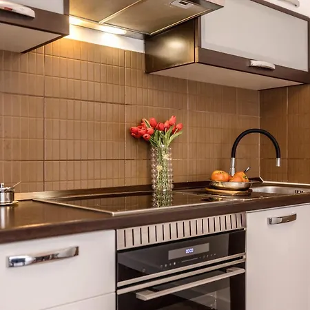 Dalmatian 230m2 With Pool And Garden Near The Old Town For Families 아파트